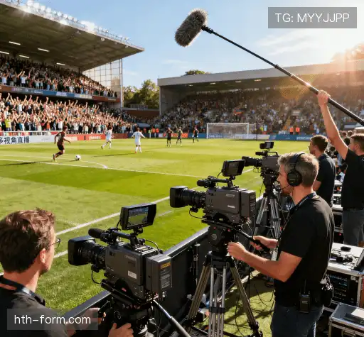 我们的竞争优势